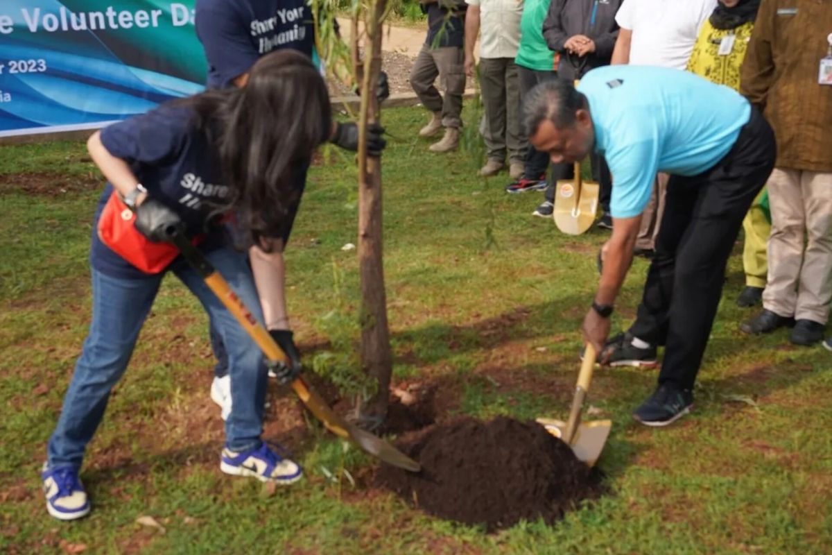 Jaksel tanam 215 pohon setiap bulan untuk penghijauan