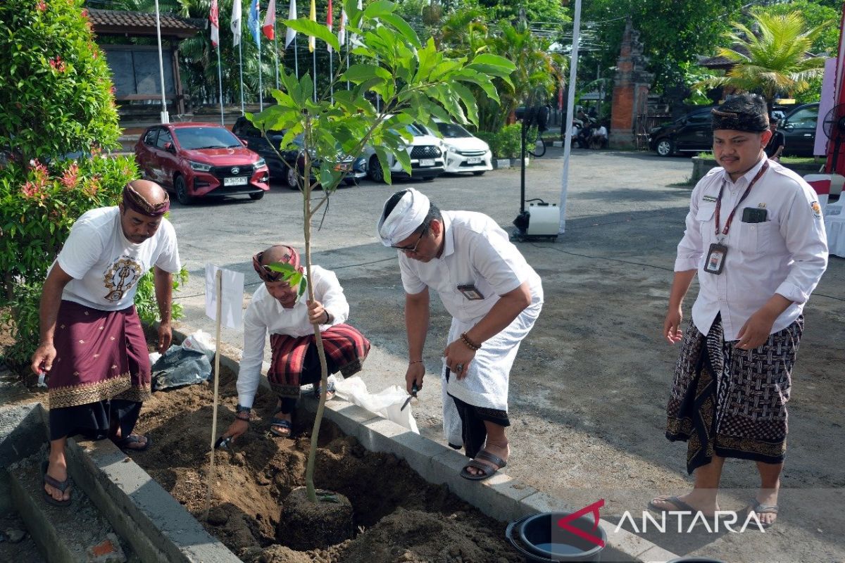 KPU Bali tanam 67.690 bibit pohon ganti kertas suara Pilkada dari kulit pohon