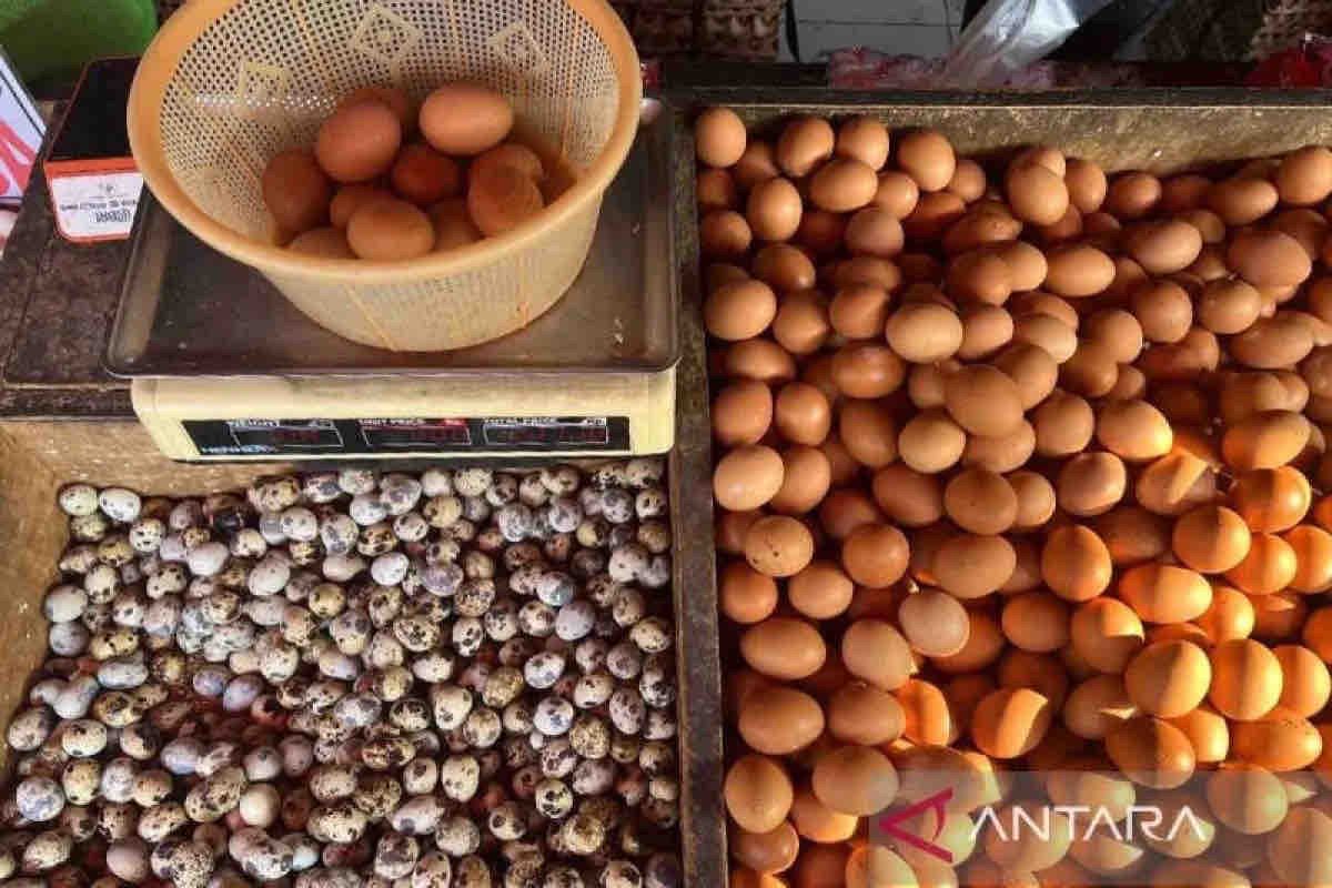 Harga pangan Kamis pagi, telur ayam ras naik menjadi Rp28.700 per kg