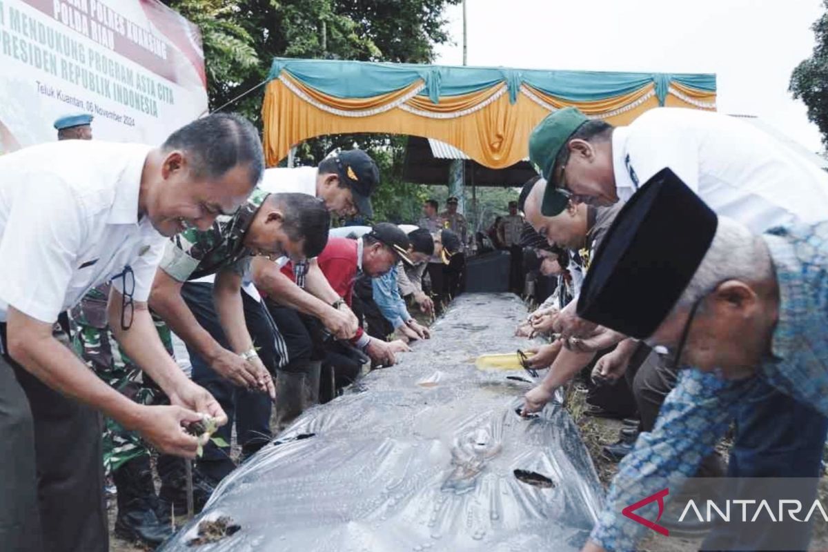 Memanfaatkan lahan di Kuansing untuk ketahanan pangan