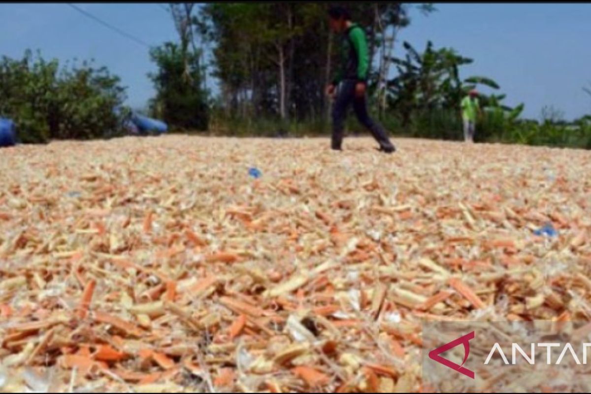 PHE ONWJ berdayakan warga Karawang untuk olah limbah cangkang rajungan