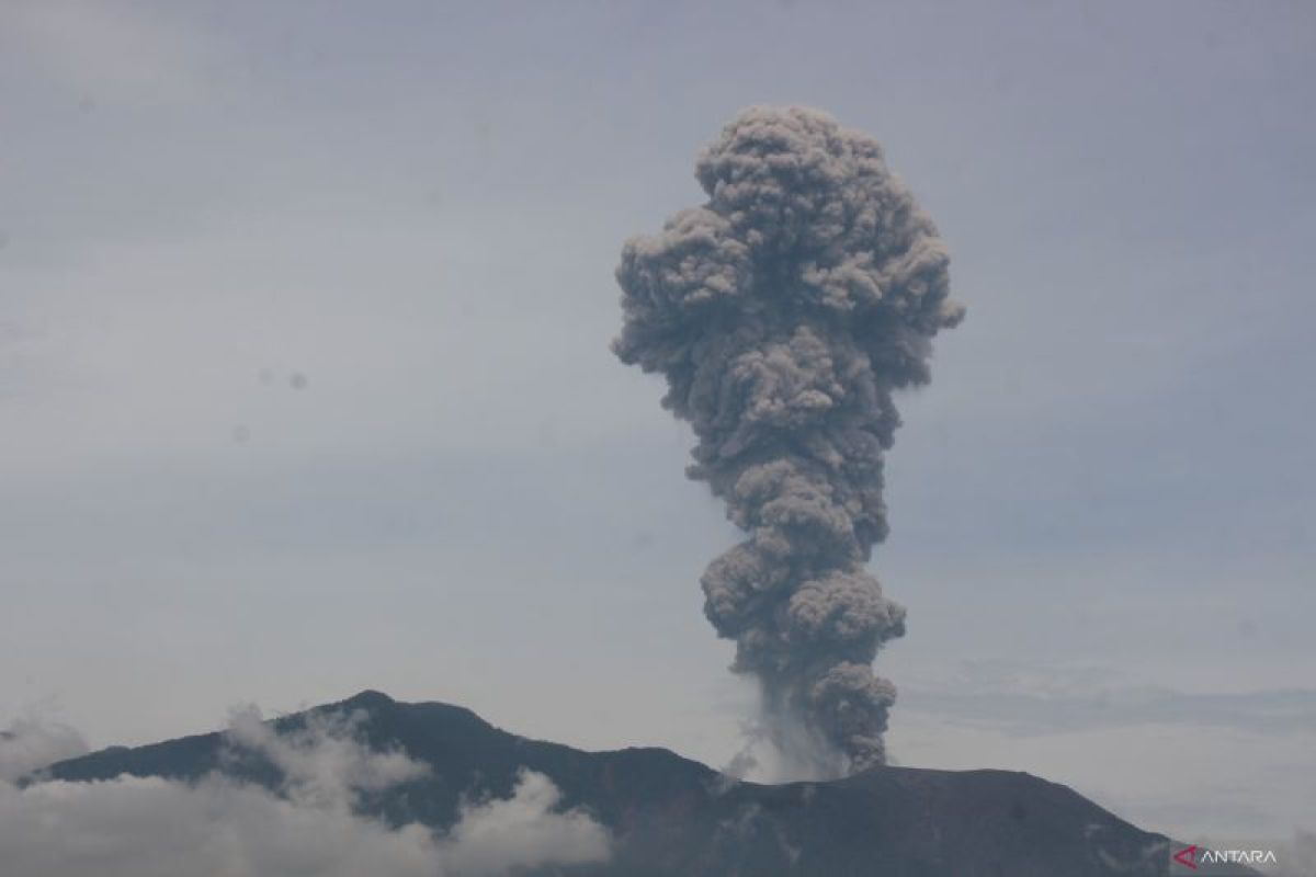 Hewan Gunung Marapi turun ke pemukiman, warga khawatir bencana