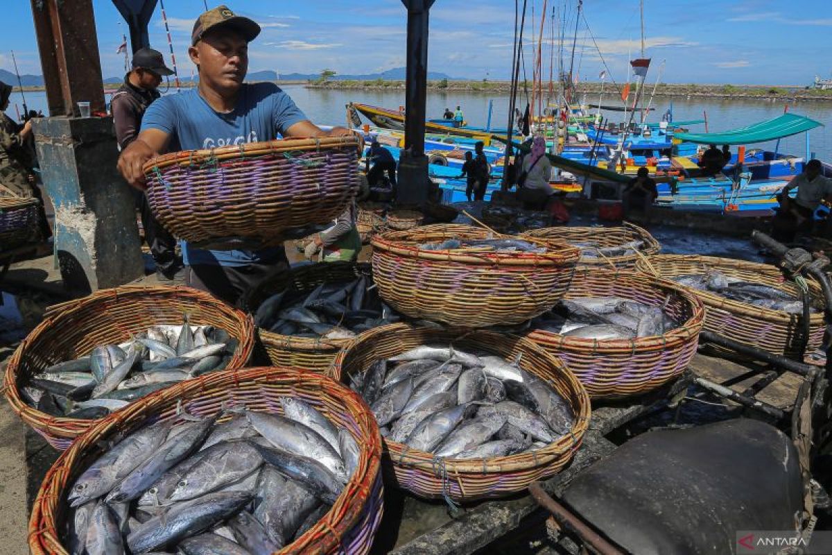 Menguji program Mualem-Dek Fadh untuk menjawab kebutuhan nelayan Aceh