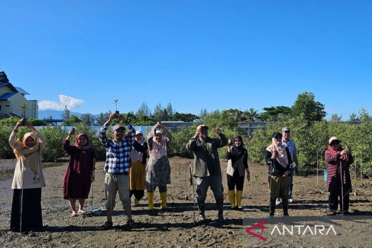 Biologi USK tanam mangrove upaya pelestarian lingkungan di Aceh