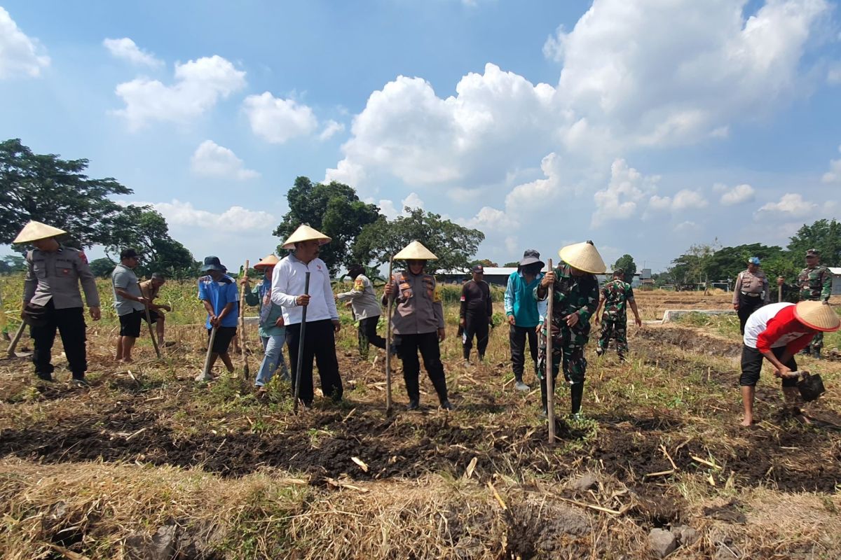 Polsek Sukorejo Pasuruan tanam jagung dukung swasembada pangan