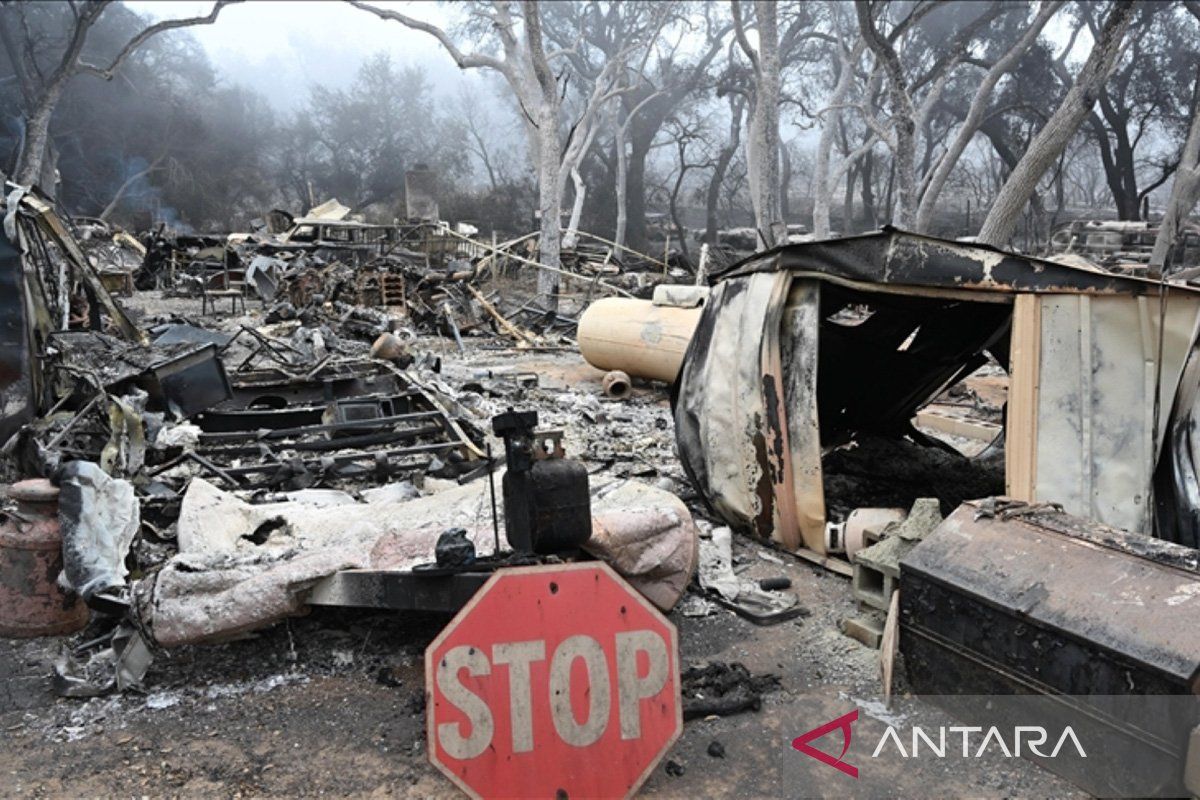 Kebakaran hutan hebat di California paksa 14.000 warga mengungsi