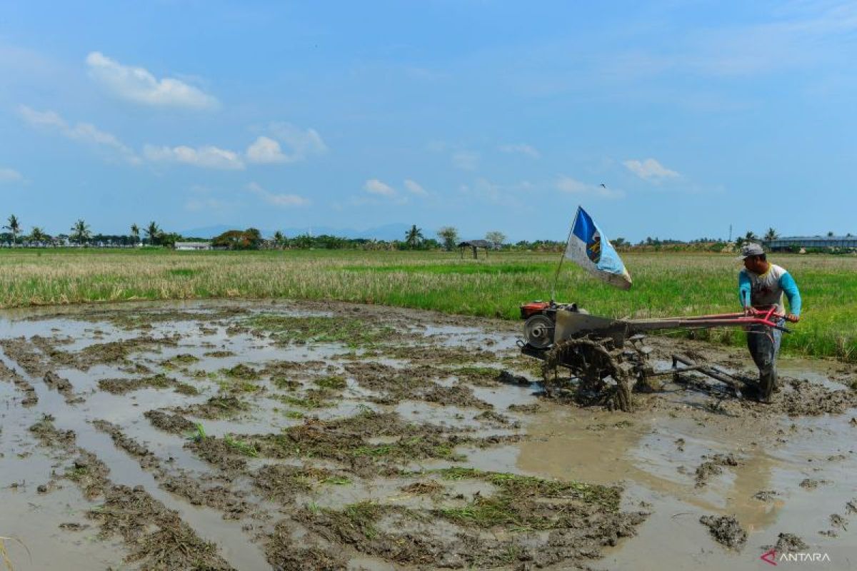 Pemkab Seruyan diminta perhatikan penunjang sektor pertanian