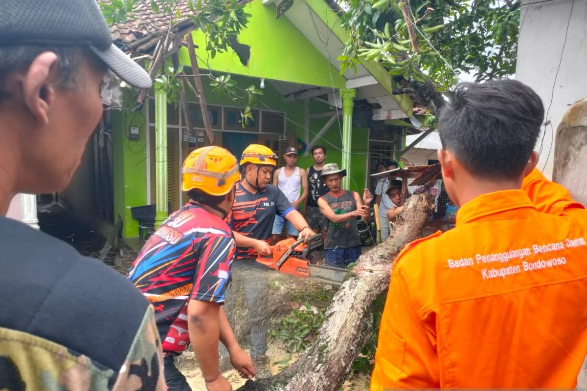 BPBD Bondowoso inventarisasi kerusakan rumah terdampak puting beliung