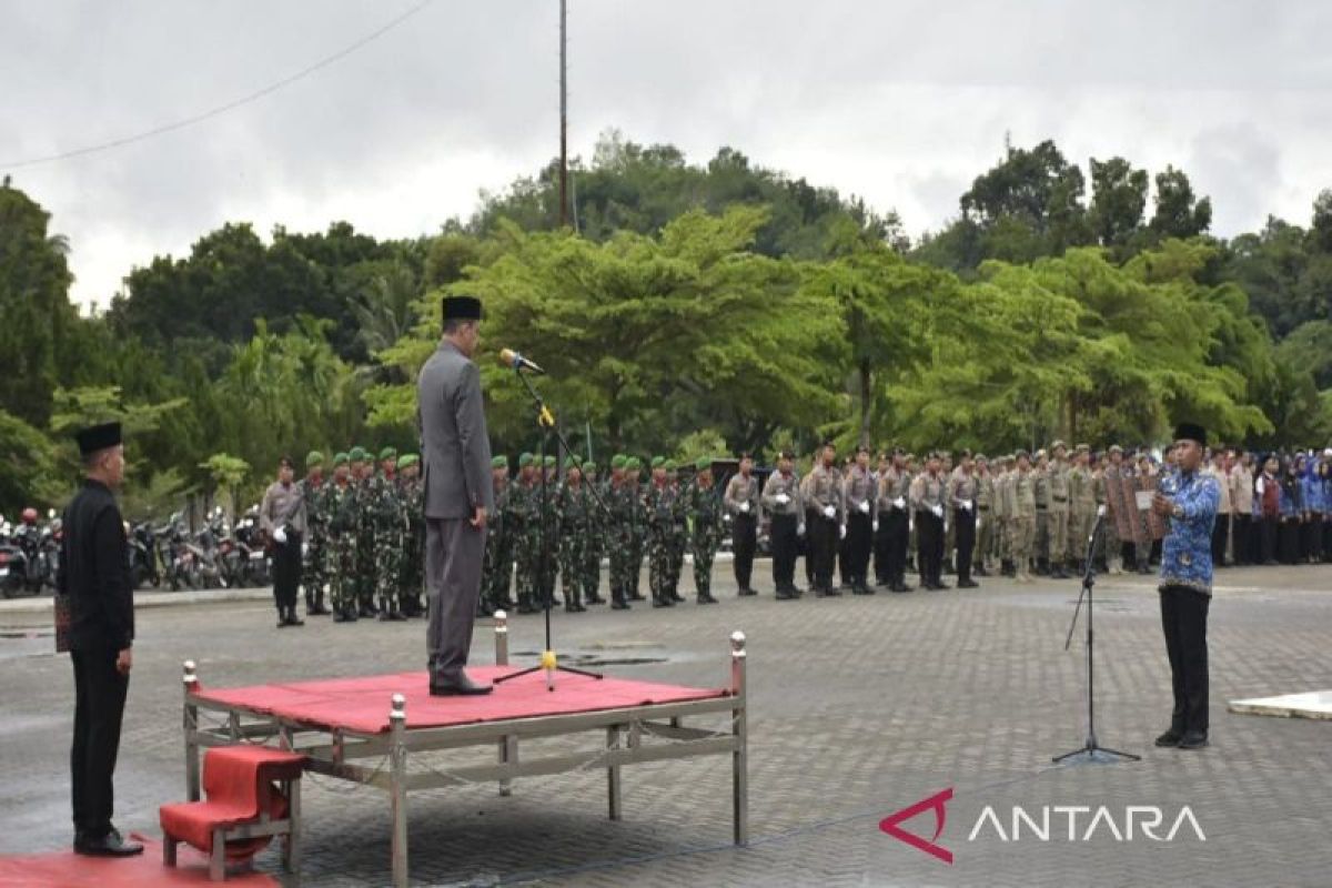 Ketua PN pimpin upacara peringatan hari pahlawan di Madina