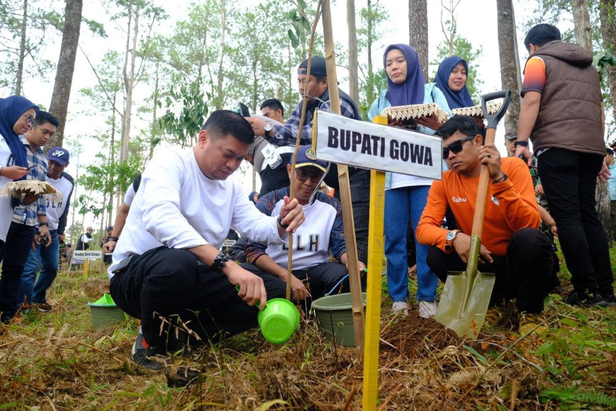 Pemerintah Kabupaten Gowa tanam 704 pohon di lahan kritis