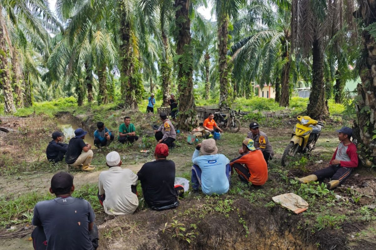 Polsek Siak Kecil sambangi petani sawit sosialisasi pilkada damai