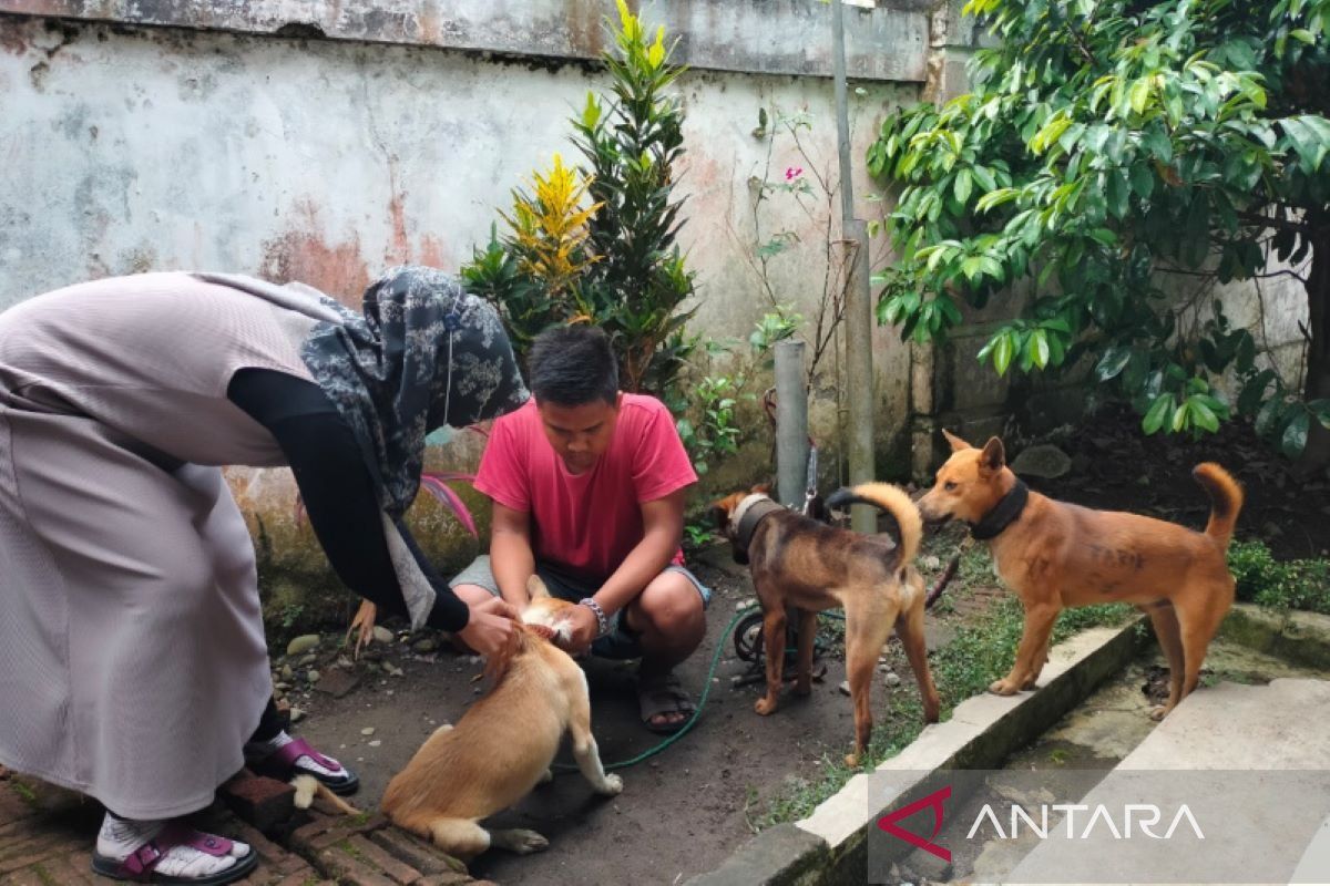 Distankan Rejang Lebong targetkan pengadaan vaksin HPR 20.000 dosis