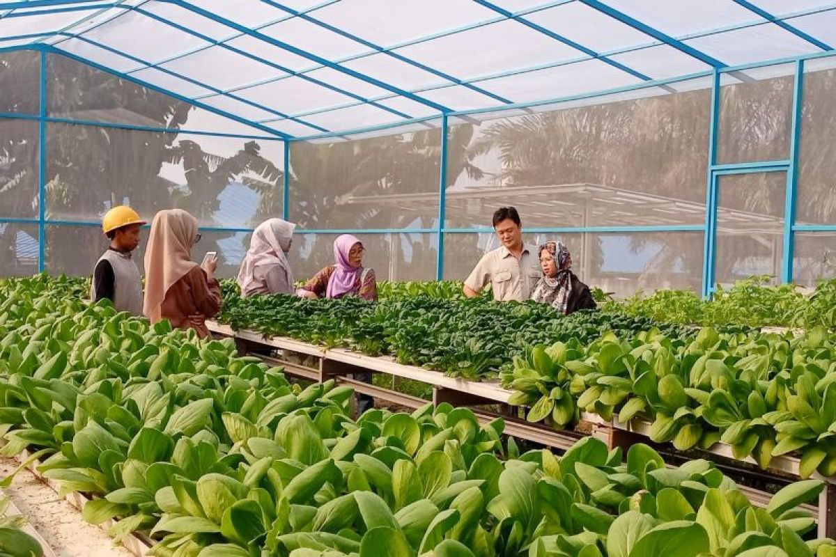 Produsen kertas ciptakan kreativitas kelengkapan "greenhouse"