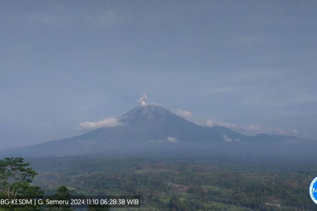 Gunung Semeru Lumajang delapan kali erupsi