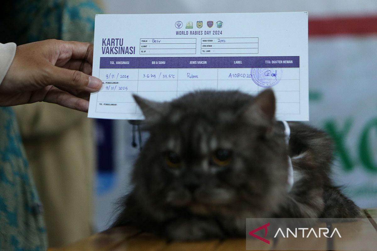 FOTO - Petsyandu layanan vaksin rabies gratis