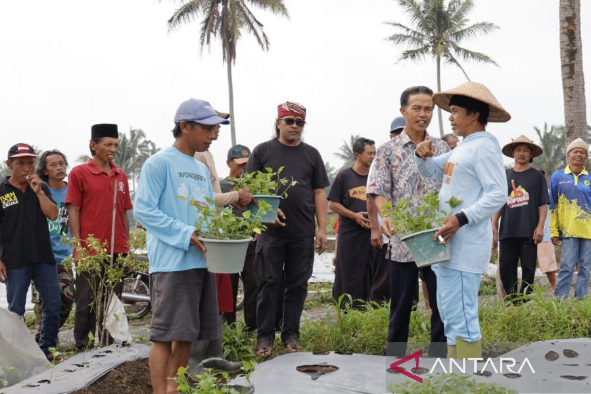 Cabup  Temanggung Agus Setyawan tanam cabai bersama warga