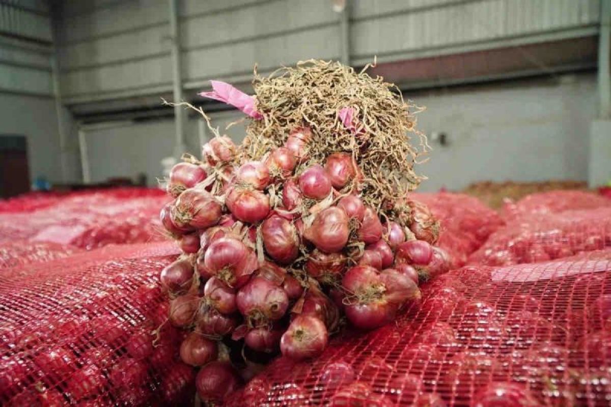 Harga bawang merah naik menjadi Rp36.410 per kg