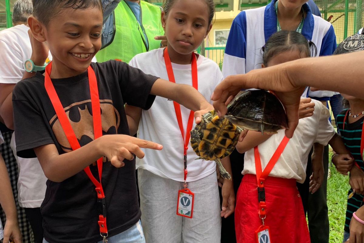BKSDA Maluku edukasi keanekaragaman hayati bagi anak usia dini, begini penjelasannya