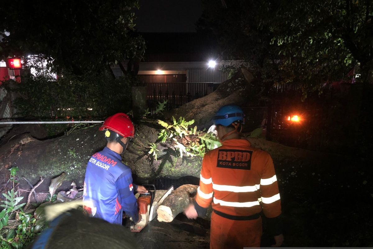BPBD Kota Bogor telah tangani 70 bencana dalam 10 hari terakhir