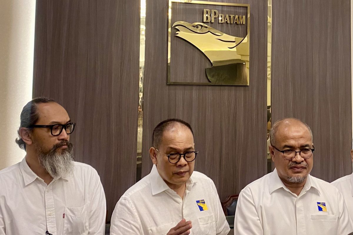 BP Batam siapkan formulasi penindakan untuk atasi ruli di ROW jalan