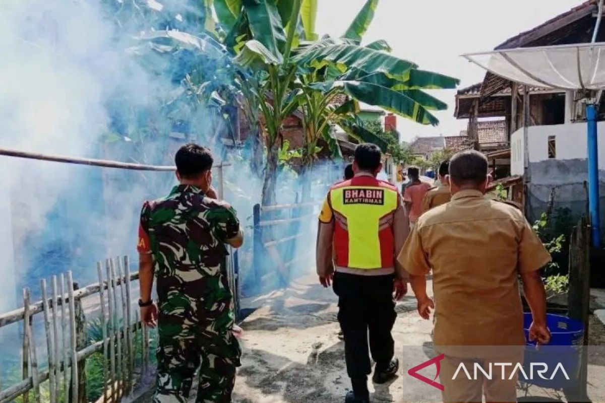 Dinkes OKU imbau warga waspada DBD di musim penghujan