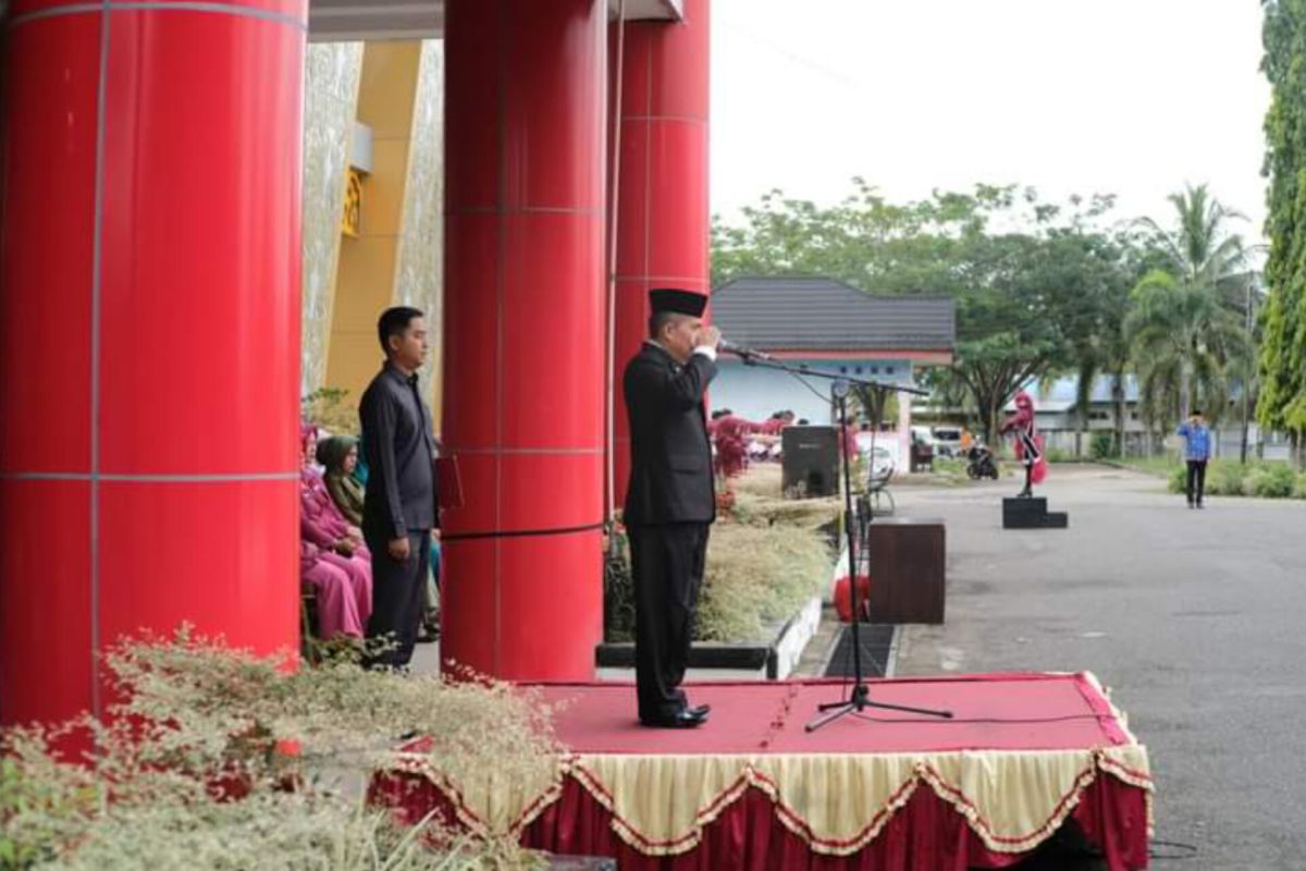 Pemkab Dharmasraya gelar upacara hari pahlawan-kesehatan nasional