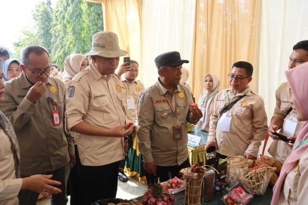 Pj Bupati Merangin berikan motivasi ke penyuluh pertanian.