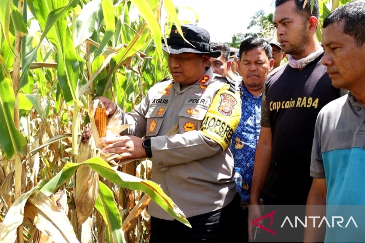 Wujudkan ketahanan pangan, Polres Abdya siapkan 20 hektare lahan tanam jagung