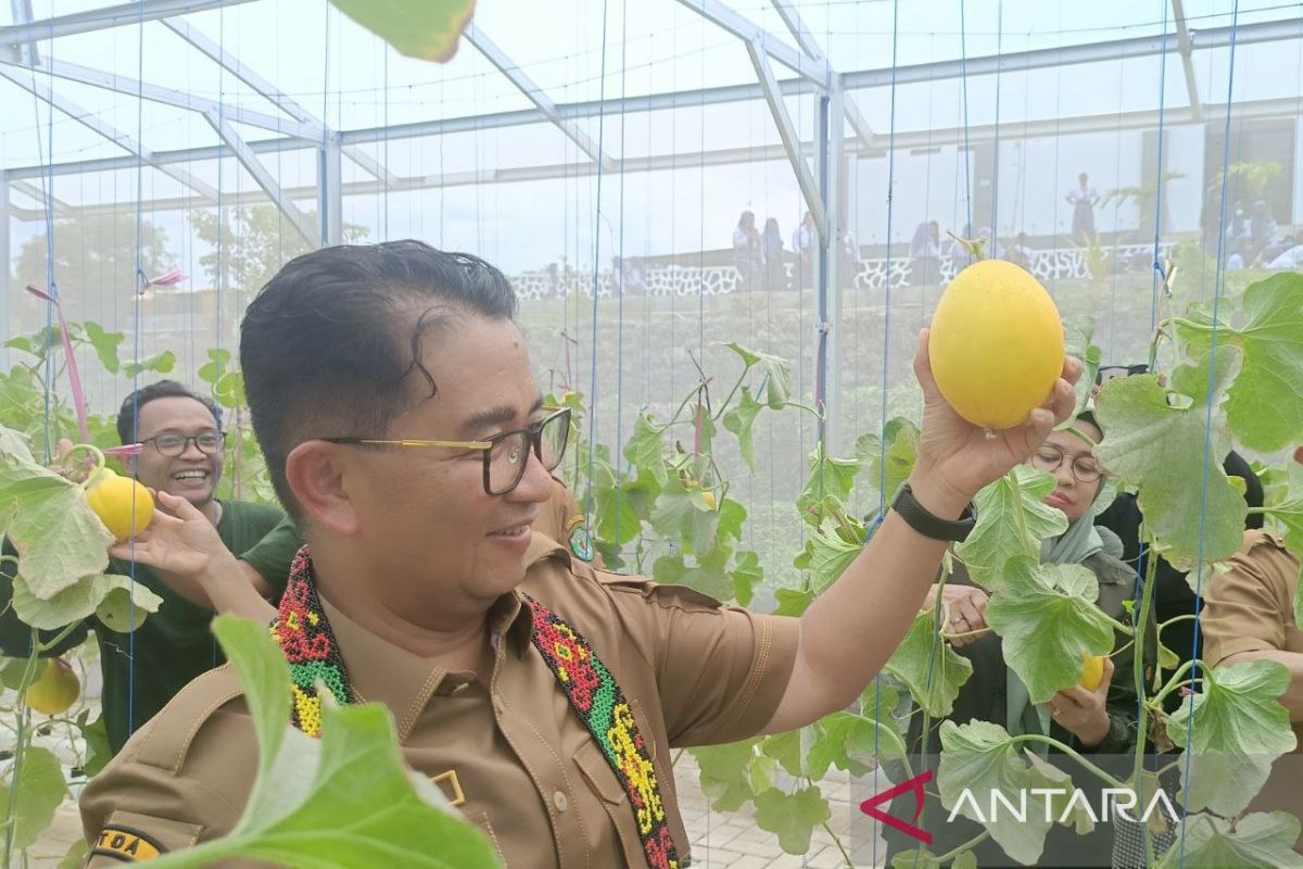 Pemprov Kaltim dorong pelajar SMA  aktif dalam kegiatan agribisnis