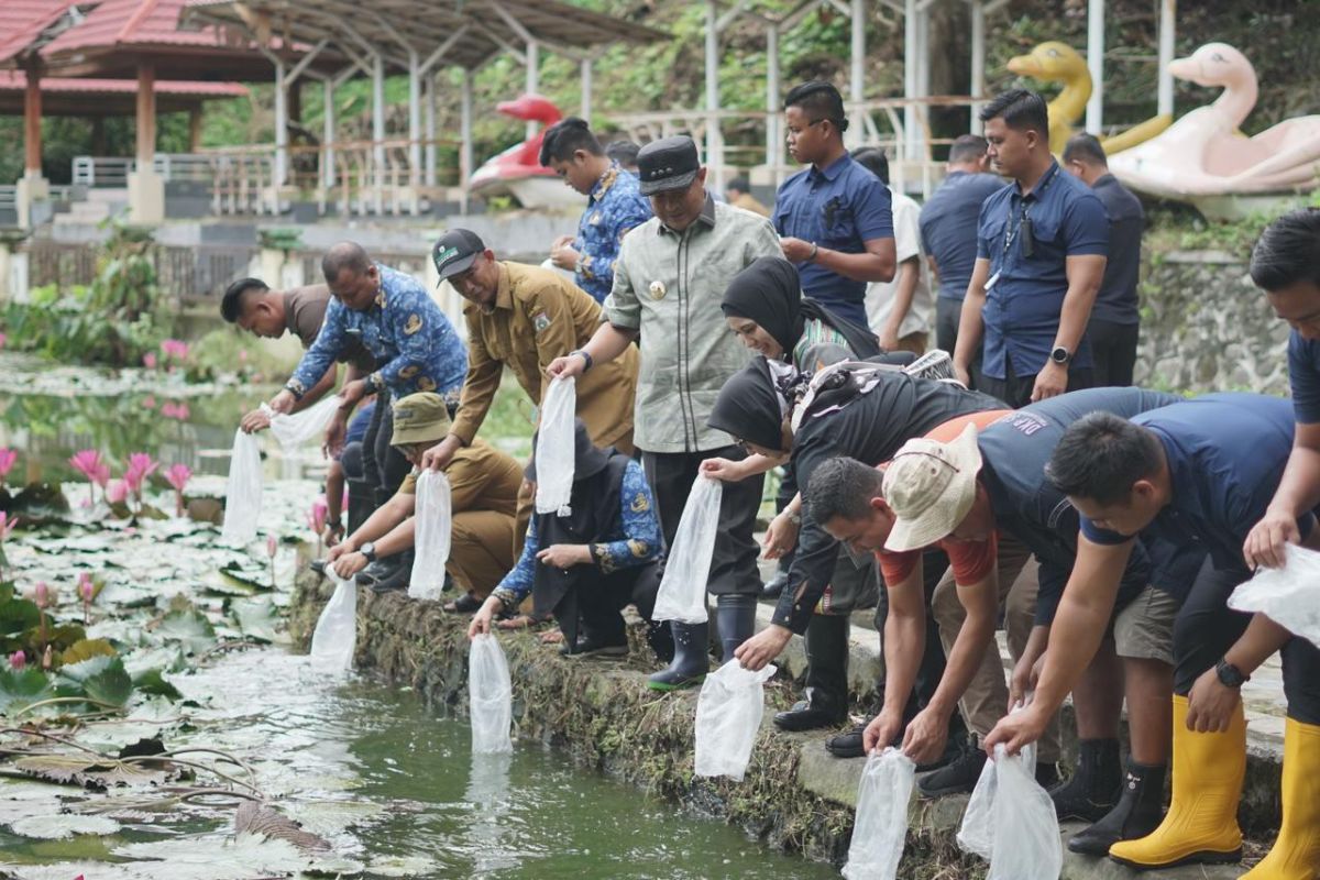 Penjabat Gubernur Sulbar kembangkan 10 ribu bibit ikan nila