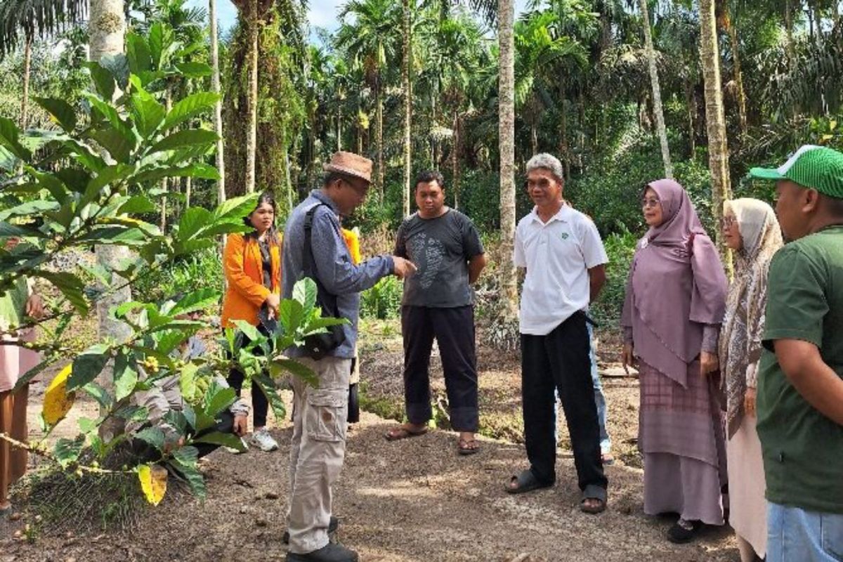 Petani kopi dikenalkan dengan teknologi mikrotriderm plus