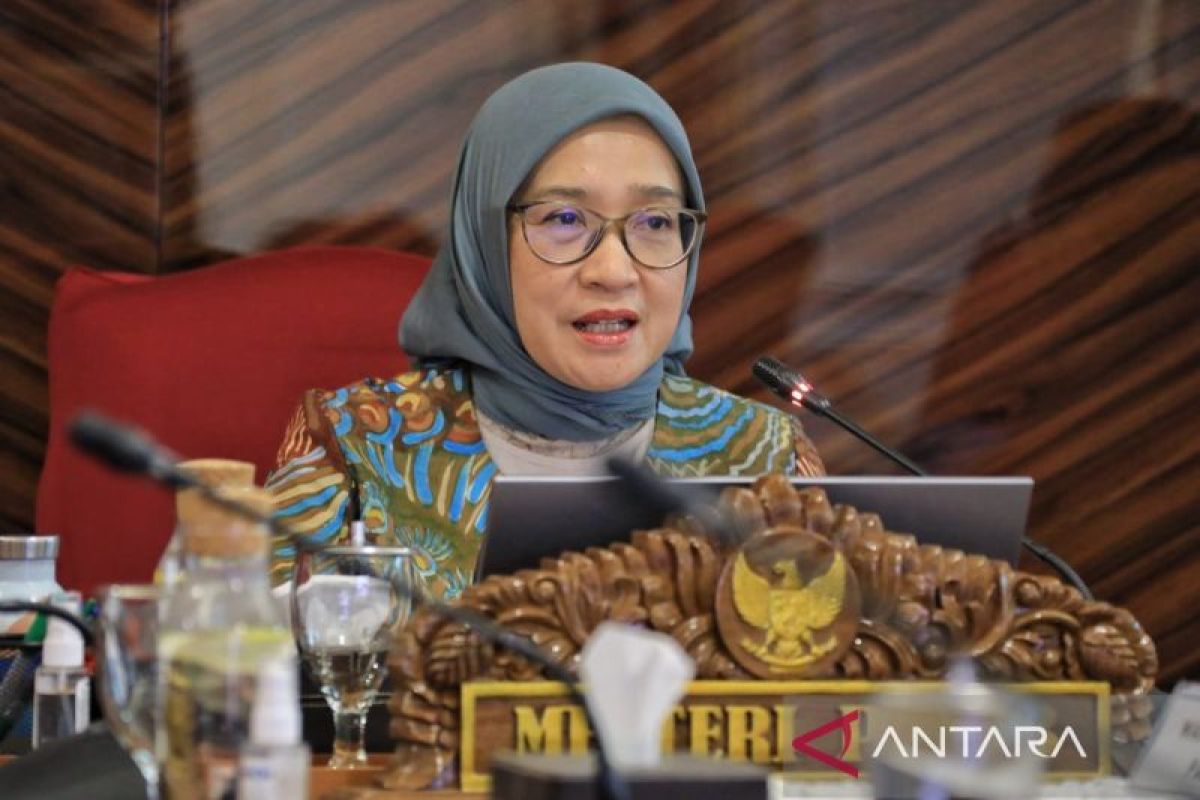 Segini harta kekayaan Menteri PANRB Rini Widyantini menurut LHKPN