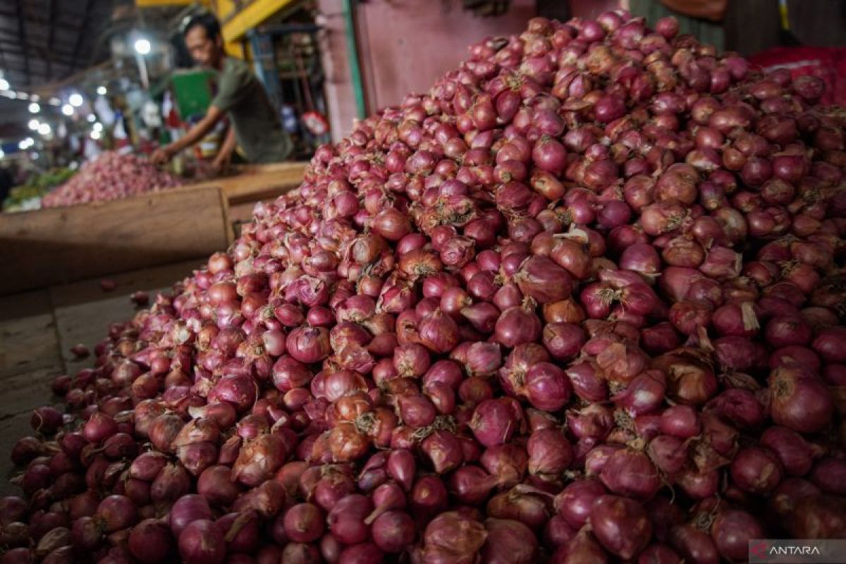 Kenaikan harga bawang merah beri andil tertinggi inflasi Kota Malang