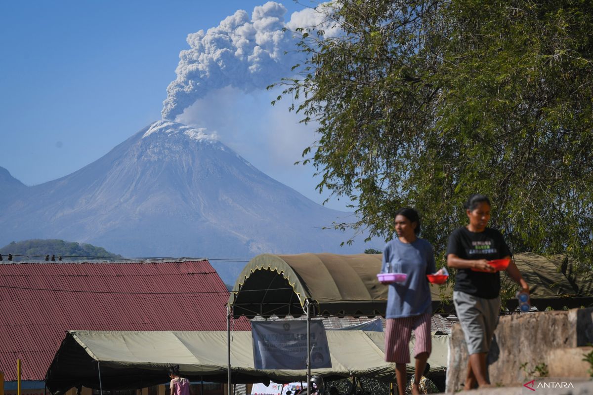 Kemarin, saksi 20 tahun tsunami Aceh hingga terjebak erupsi Lewotobi