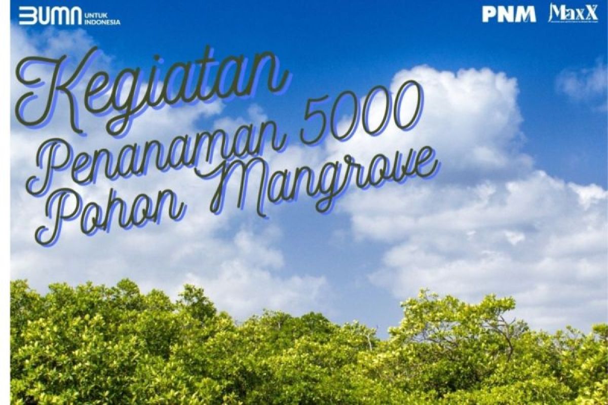 PNM Medan tanam 5.000 batang mangrove di Langkat