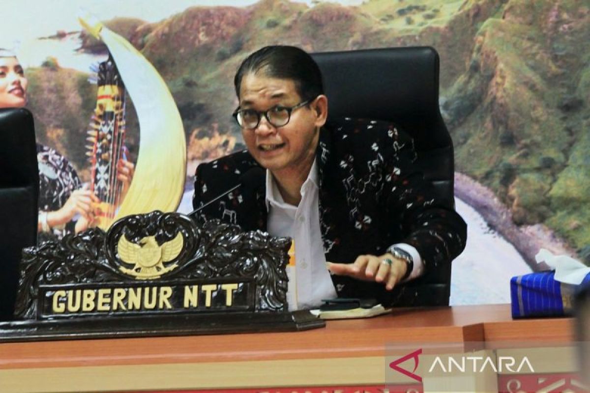 Pemprov NTT nyatakan Pilkada 2024 tetap dilaksanakan di Flores Timur