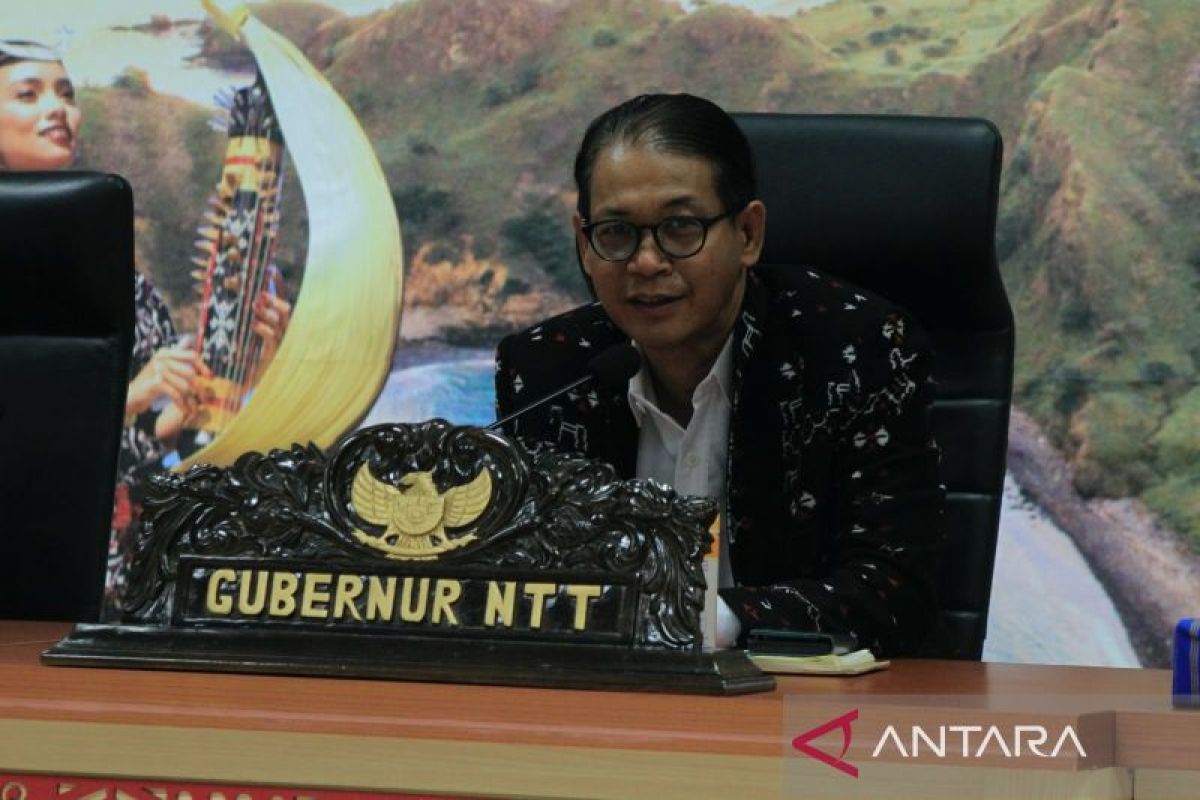 Pj Gubernur NTT pastikan wisatawan terdampak erupsi telah dievakuasi