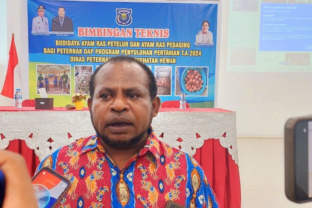 Kabupaten Sorong berdayakan OAP menjadi peternak ayam