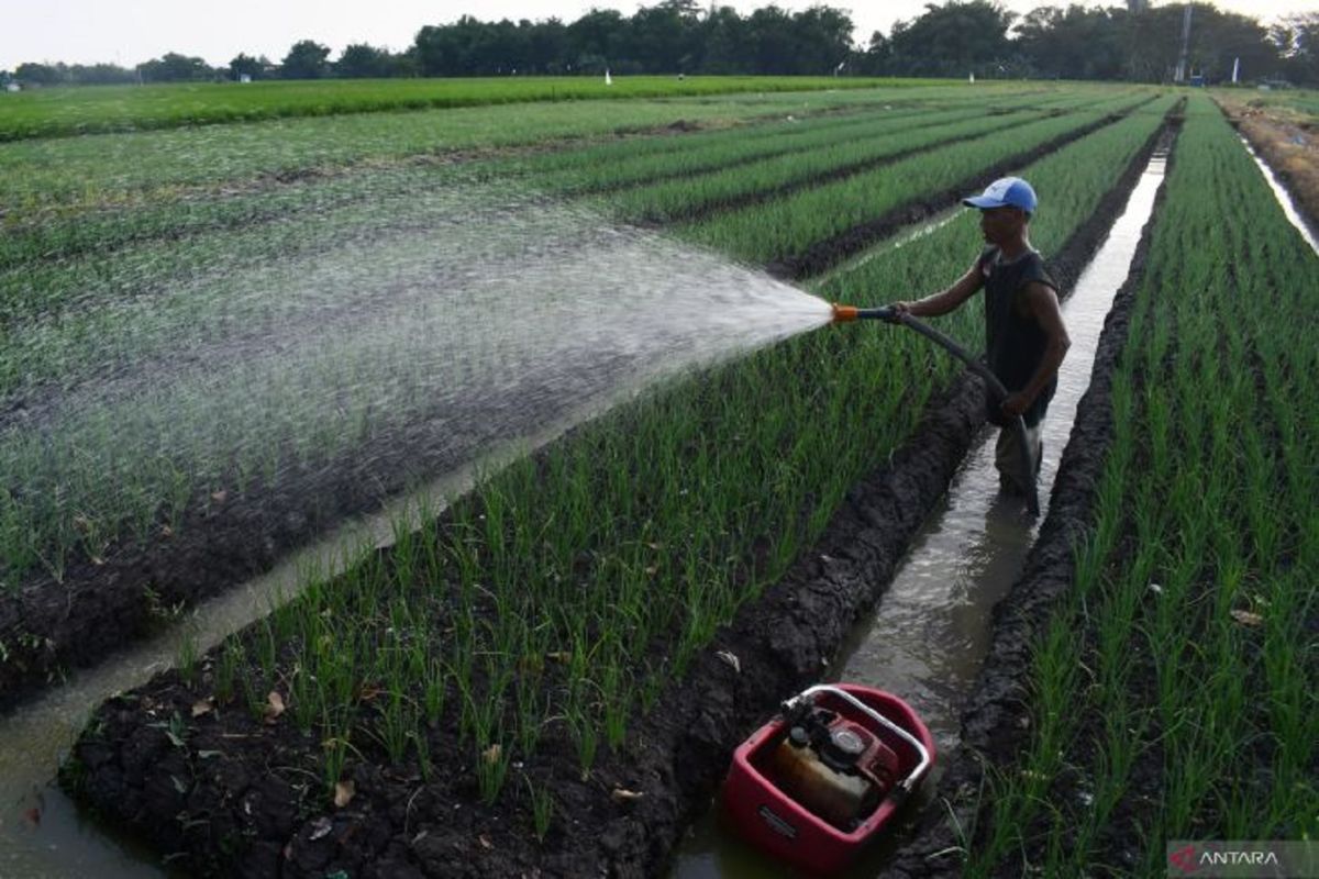 Pemkot Madiun ajak anak muda menjadi petani milenial