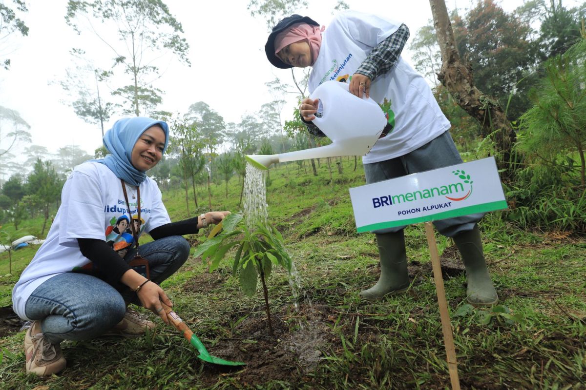 BRI perkuat posisi sebagai pemimpin keberlanjutan di perbankan