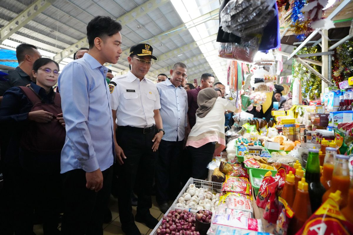 Pj Gubernur Sulsel mendampingi Wapres cek harga bahan pokok di Maros