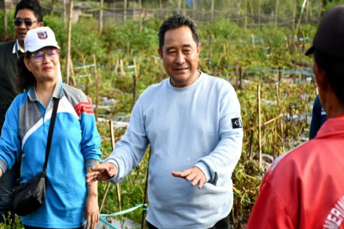 Penjabat Gubernur Sulbar dorong pengembangan hortikultura di Mamasa