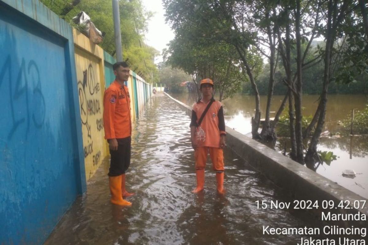 BPBD minta warga waspada rob di pesisir utara Jakarta