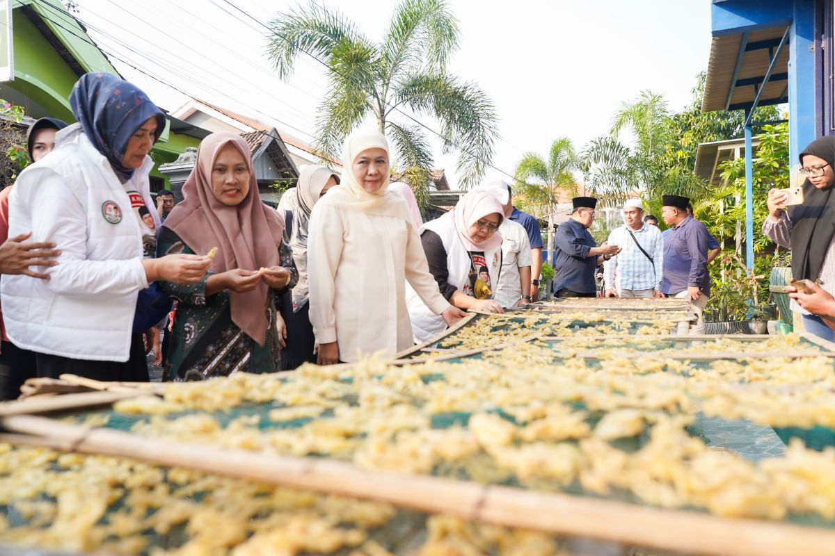 Khofifah kunjungi kampung keripik olahan ayam di Sidowungu Gresik