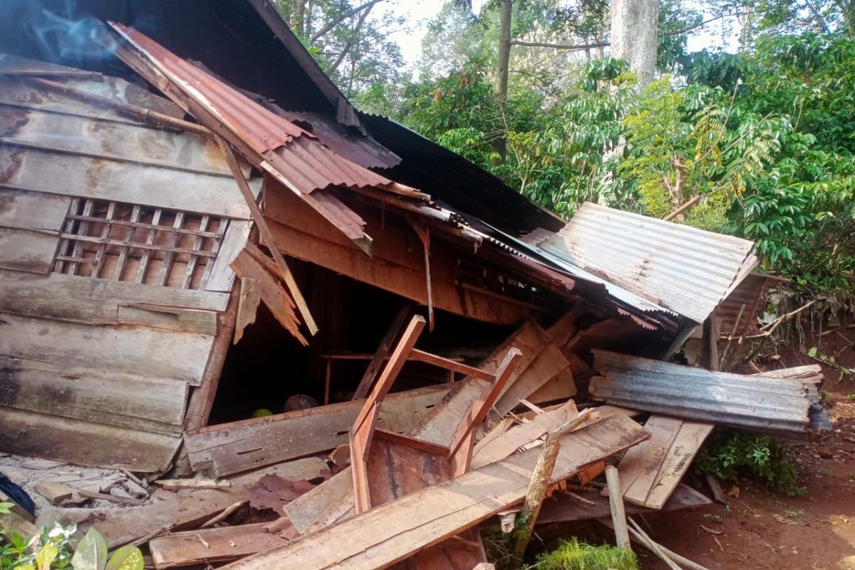 Gajah liar masuk kampung, puluhan rumah  warga Lampung Barat rusak