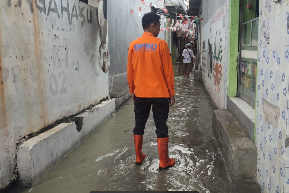 BPBD catat genangan banjir rob di Jakarta Utara sudah berangsur turun