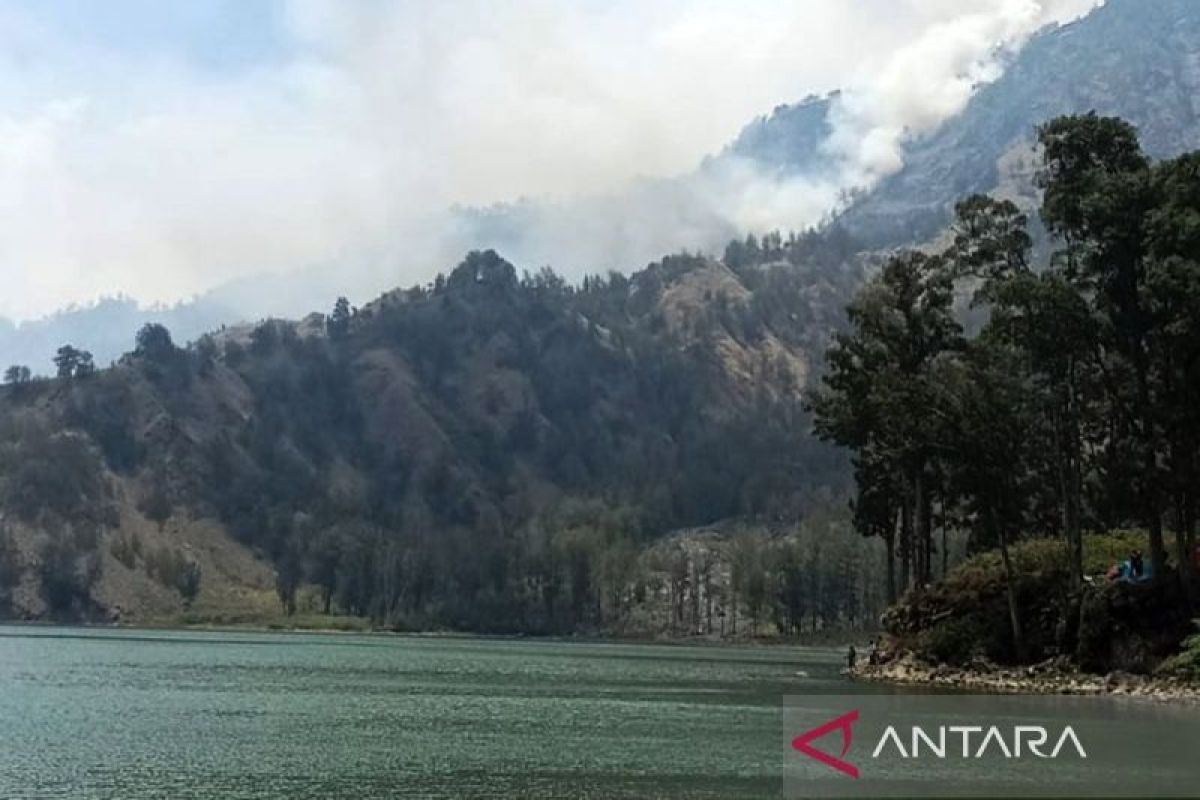 Kebakaran di jalur pendakian Senaru Gunung Rinjani telah padam