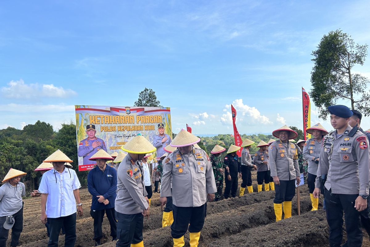 Polda Kepri tanam 30 ribu bibit jagung demi dukung ketahanan pangan