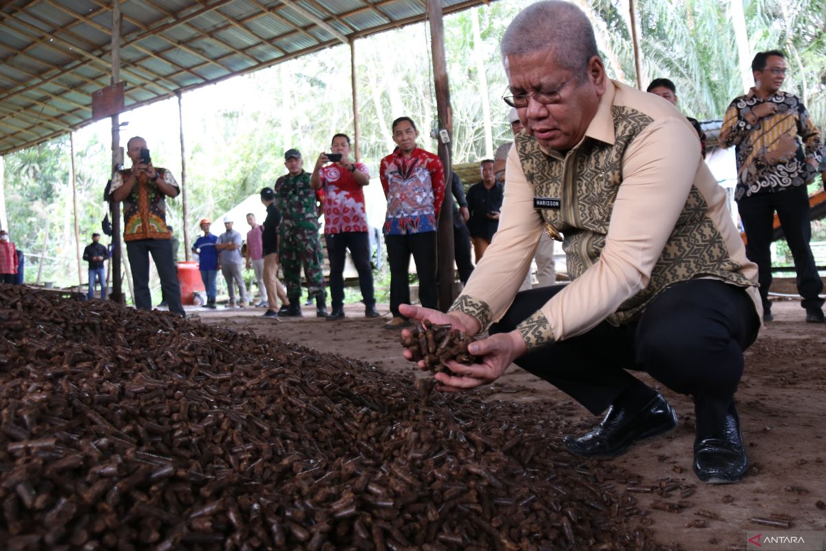 Pj Gubernur Kalbar tinjau pabrik briket dari tandan Sawit