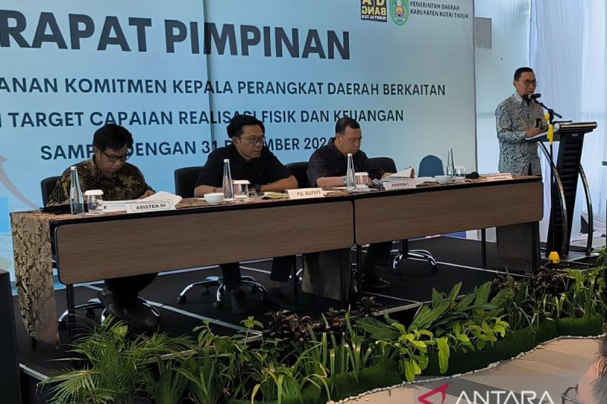 SIPD Kemendagri alami gangguan jadi kendala realisasi anggaran